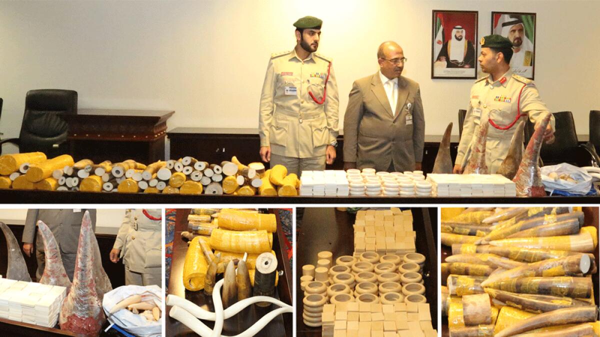 Over 1,300 ivory pieces seized at Dubai airport