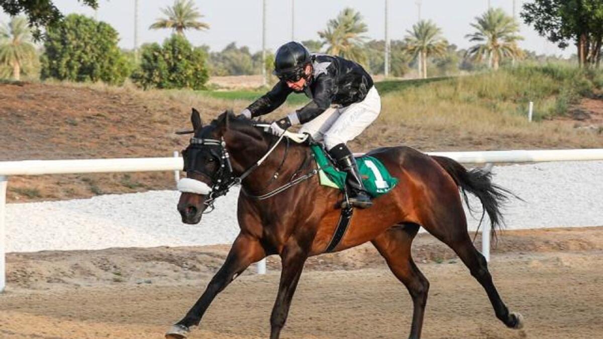 Record eight-time UAE Champion Jockey Tadhg O'Shea rides AF Mahzamy to victory in the Al Ain Derby on Friday. — Emirates Racing Authority