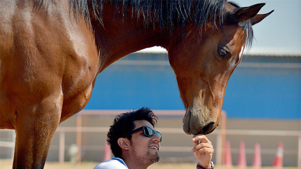 Randeep Hooda turns horse whisperer in Abu Dhabi