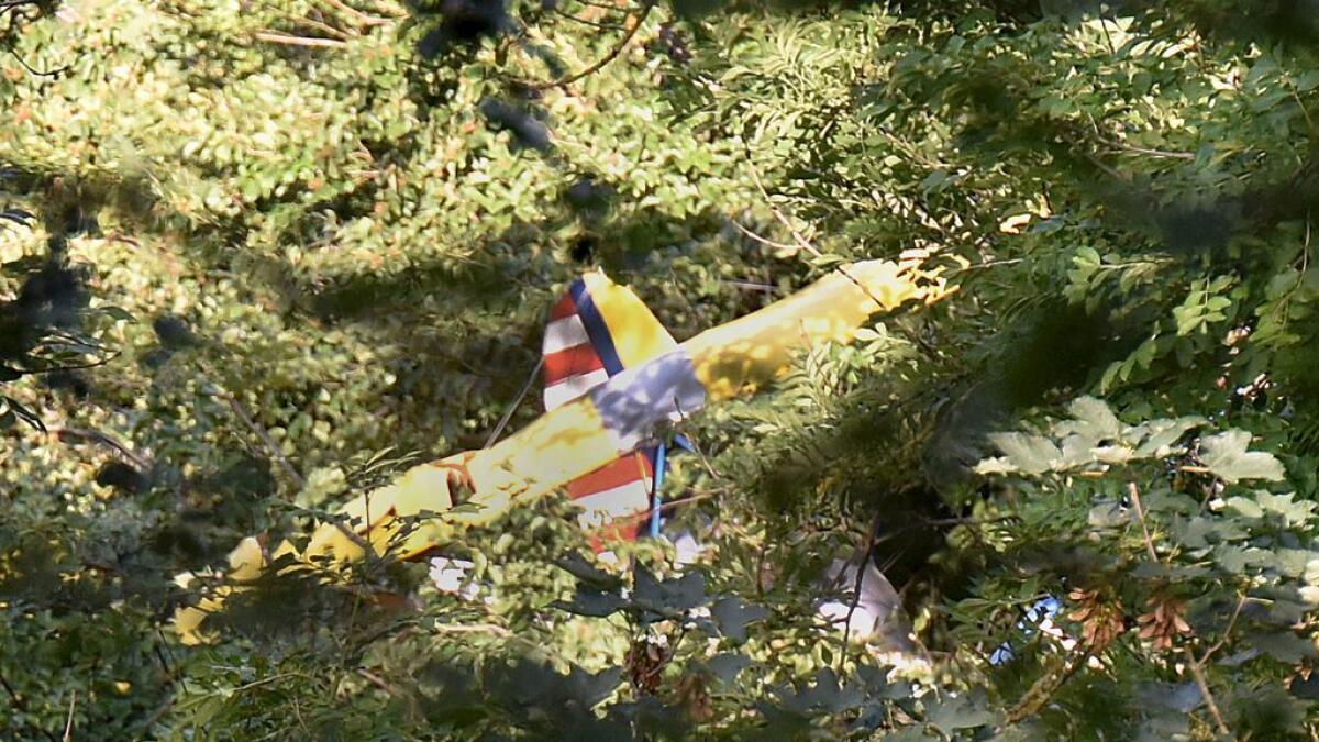 The wreckage of an ultralight aircraft stucks in a tree near Degenfeld, Germany 