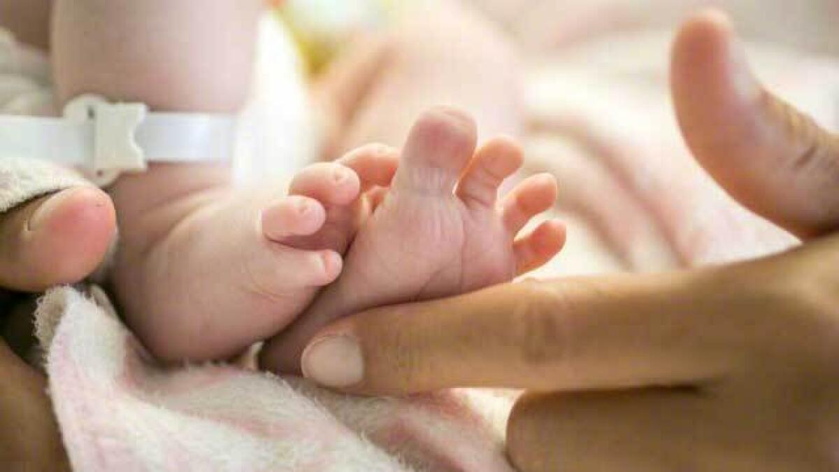 Newborn dies after rat bites in Indian hospital: Mother 