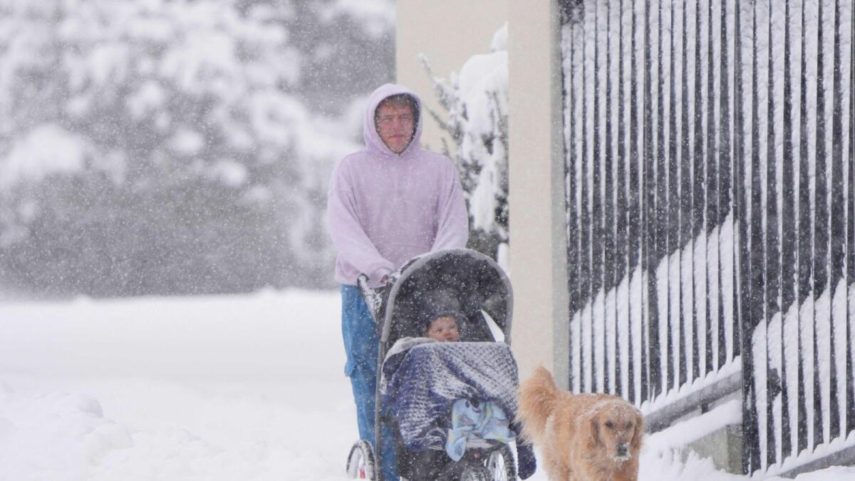 A person walks with their baby dog during a snowstorm in Provo, Utah, on Wednesday. — AFP