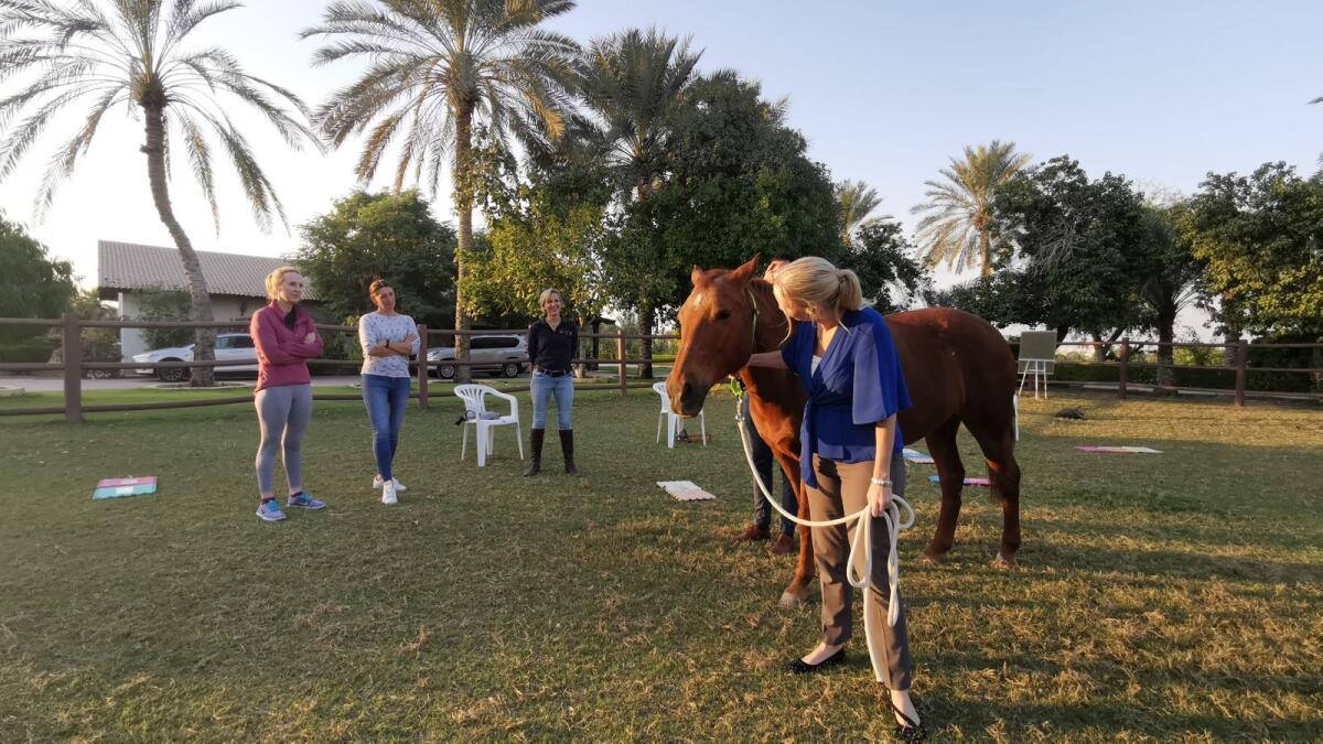 Horse therapy. By: Melia Desert Palm Dubai. 2020 was undoubtedly a tough year, but to strive forward on a positive note, polo resort, Meliã Desert Palm Dubai has launched ‘Team building with horses’ with experts in horse-guided empowerment and corporate coaching. The sessions are facilitated by MSB Connect’s experienced instructors, and held in an emotionally and physically safe space. Following the experience, head for lunch at one of the resort’s eateries. Bookings need to be made for minimum eight people. Call 04 602 9323 for more information.