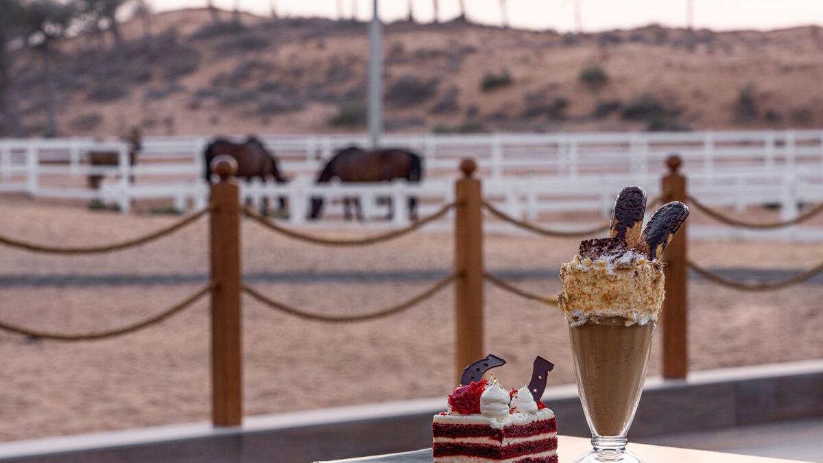 Clip-clop café. As the outdoor season commences, the launch of The Paddock Café at The Ritz-Carlton Ras Al Khaimah, Al Wadi Desert, set against the stunning backdrop of the Al Wadi Equestrian Centre, is a horse-lover’s paradise. Enjoy a riding adventure such as 10 beginner’s lessons for Dh1400 followed by a refreshing and decadent meal or sweet treat in the beauty of the dunes.