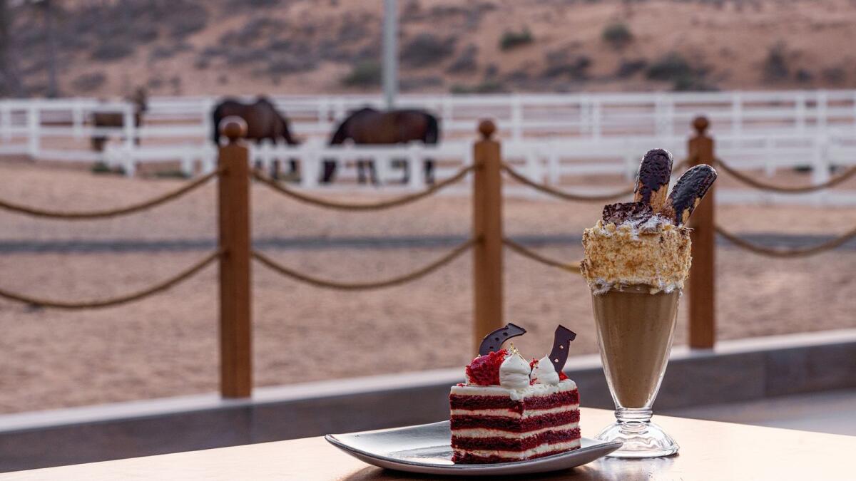 Clip-clop café. As the outdoor season commences, the launch of The Paddock Café at The Ritz-Carlton Ras Al Khaimah, Al Wadi Desert, set against the stunning backdrop of the Al Wadi Equestrian Centre, is a horse-lover’s paradise. Enjoy a riding adventure such as 10 beginner’s lessons for Dh1400 followed by a refreshing and decadent meal or sweet treat in the beauty of the dunes.