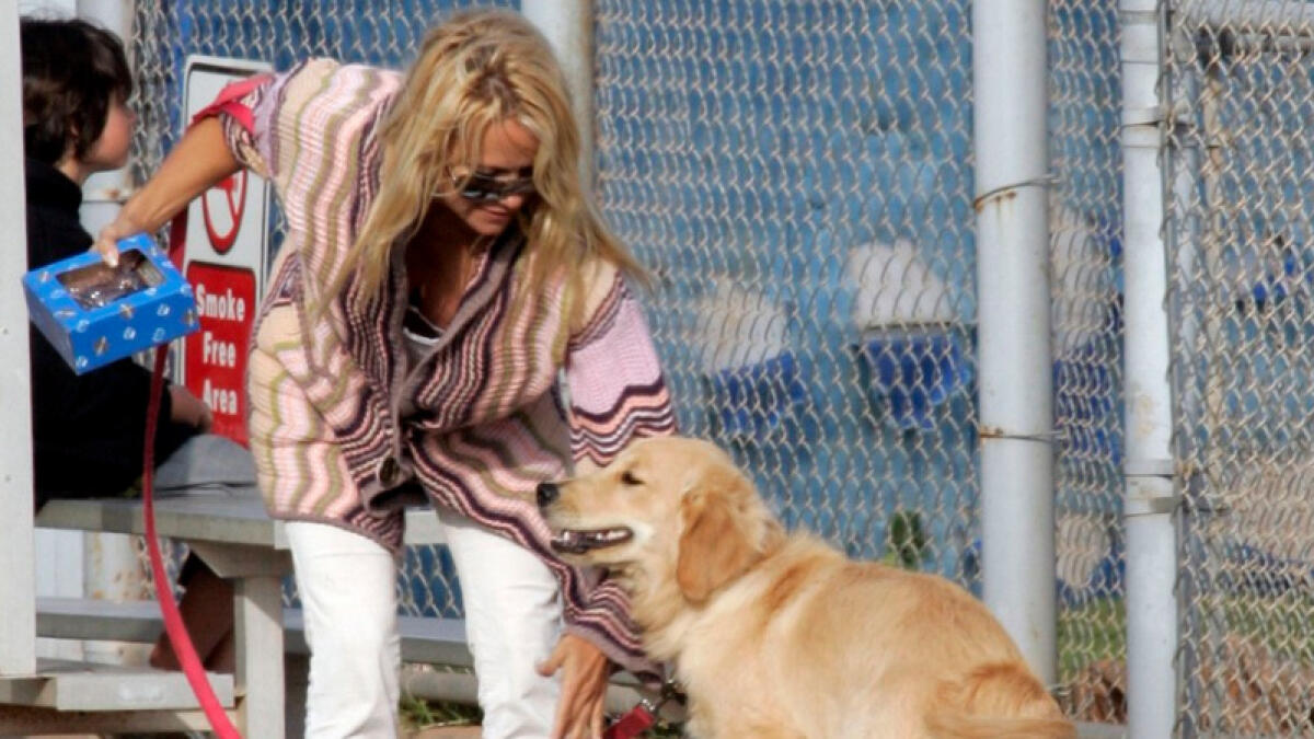 Pamela Andersons dog committed suicide