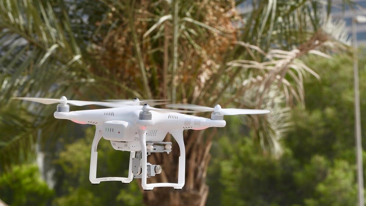UAE to use drones to map agricultural areas