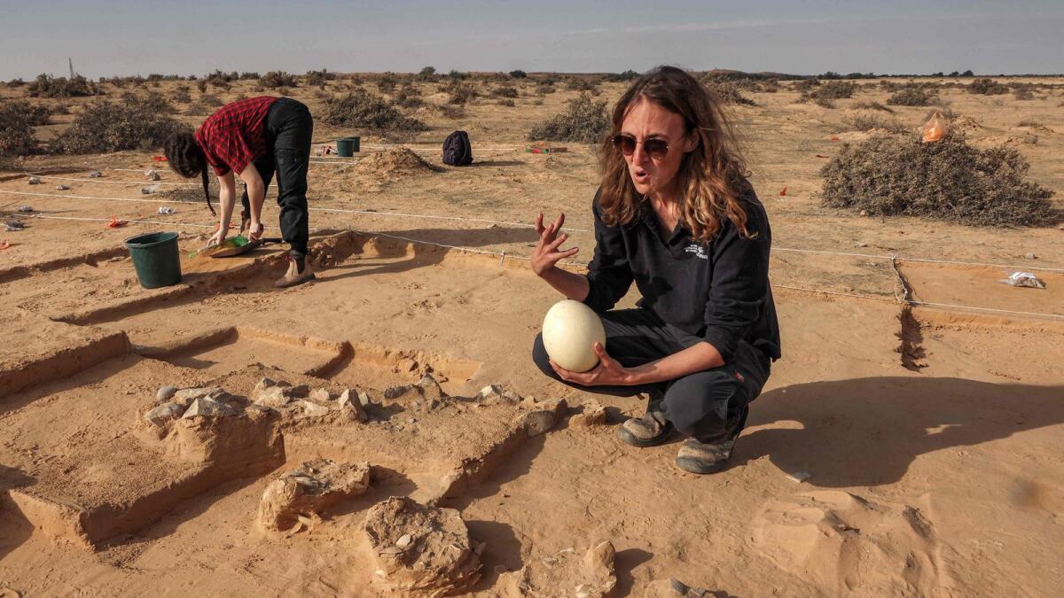 Lauren Davis, excavation manager of the southern district at the Israel Antiquities Authority (IAA), shows a fresh ostrich egg used for illustration next to older egg fragments dating over 4000 years old next to an ancient fire pit  in the western Negev desert on Thursday.  — AFP