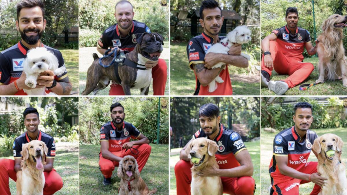 The Royal Challengers Bangalore franchise shared pictures of players posing with their dogs. - RCB twitter handle