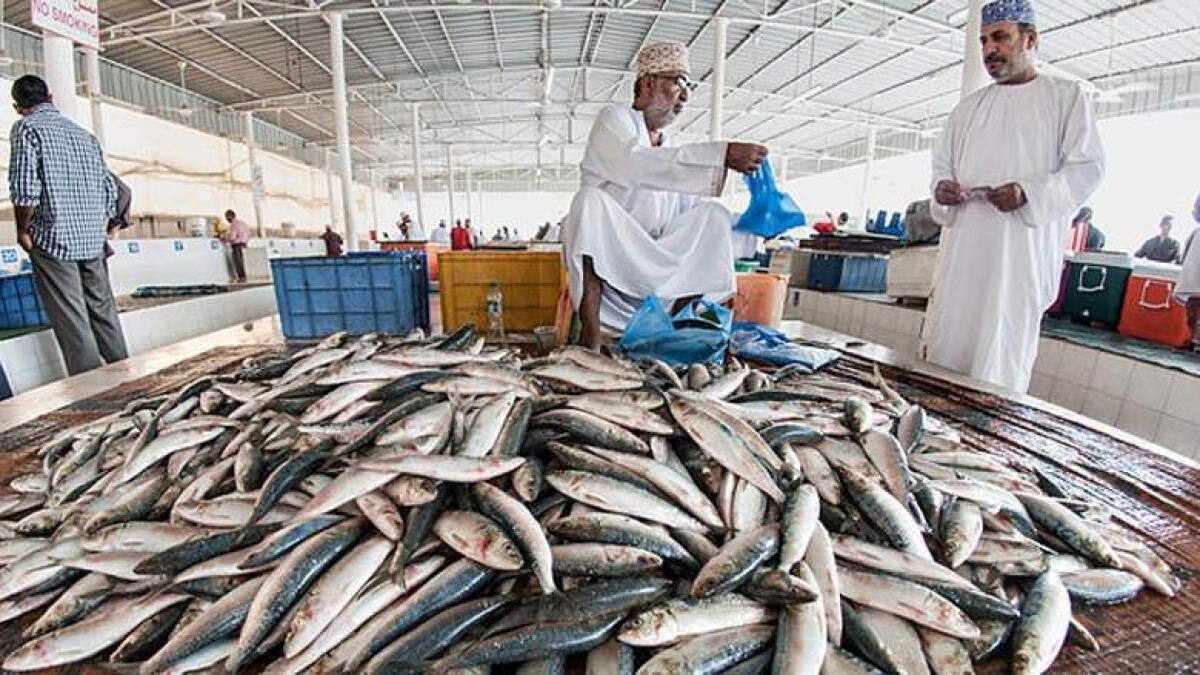 Decrease in Sheri, Safi fish price in UAE after ban ends