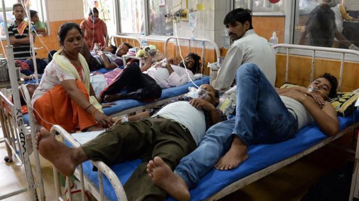 Delhi govt seeks support of people to fight dengue, chikungunya