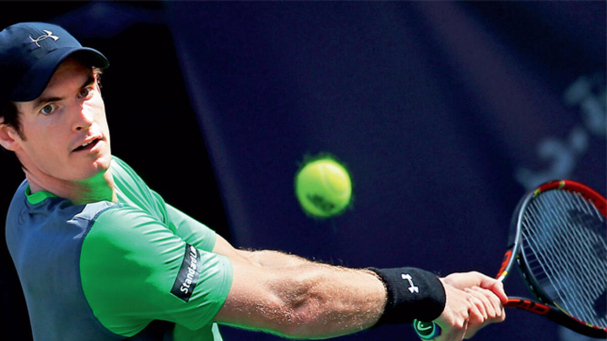 Murray may partner his brother in Davis Cup ties