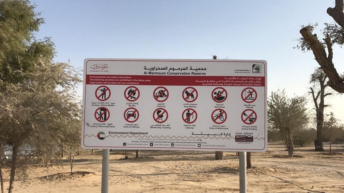 No more camping, barbecue at Al Qudra Lake in Dubai