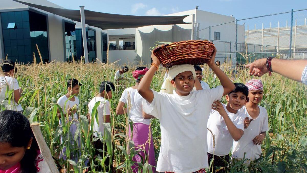 Students learn how to grow their food
