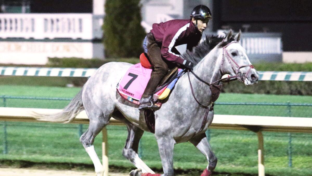 Mikio Matsunaga's horse, Lani training at the Meydan Racetrack in Dubai on Wednesday.