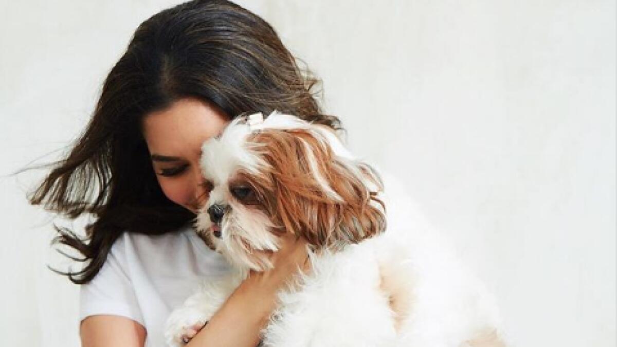 Sophie’s choiceActress-singer Sophie Choudry is a pet mama to a Shih Tzu named Tia, whose Insta handle is tia_thetzu. Tia enjoys a following of 1,893 fans. Her description reads: “I am a super cute Shih Tzu puppy living in Mumbai with my darling mummy @SophieChoudry &amp; granny Yasmin.”