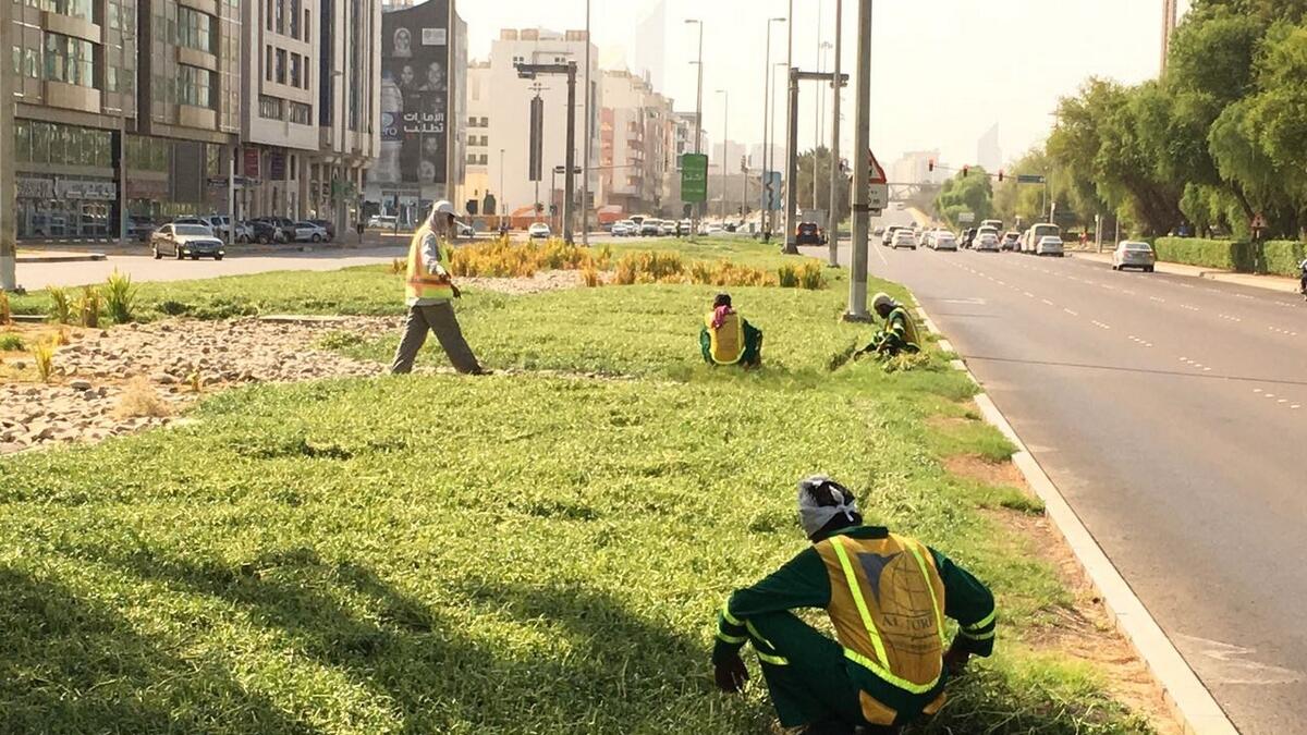Ongoing green initiative to cover entire Abu Dhabi