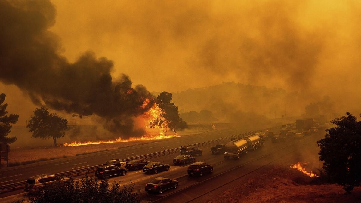 California, wildfires, homes