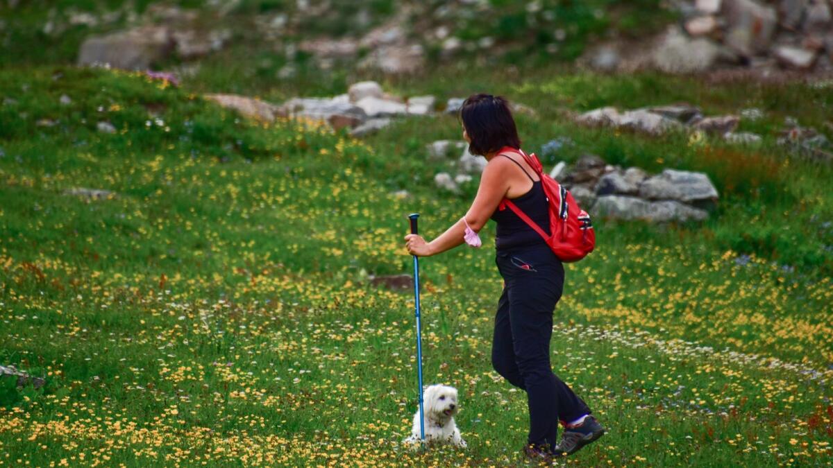 Nordic walking is a mode of walking using sticks that improves your upper body strength.
