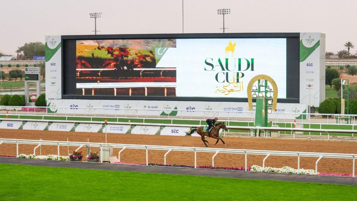 UAE contender Military Law, trained by Musabbeh Al Mheiri, during trackwork, ahead of the Saudi Cup. (Jockey Club of Saudi Arabia)