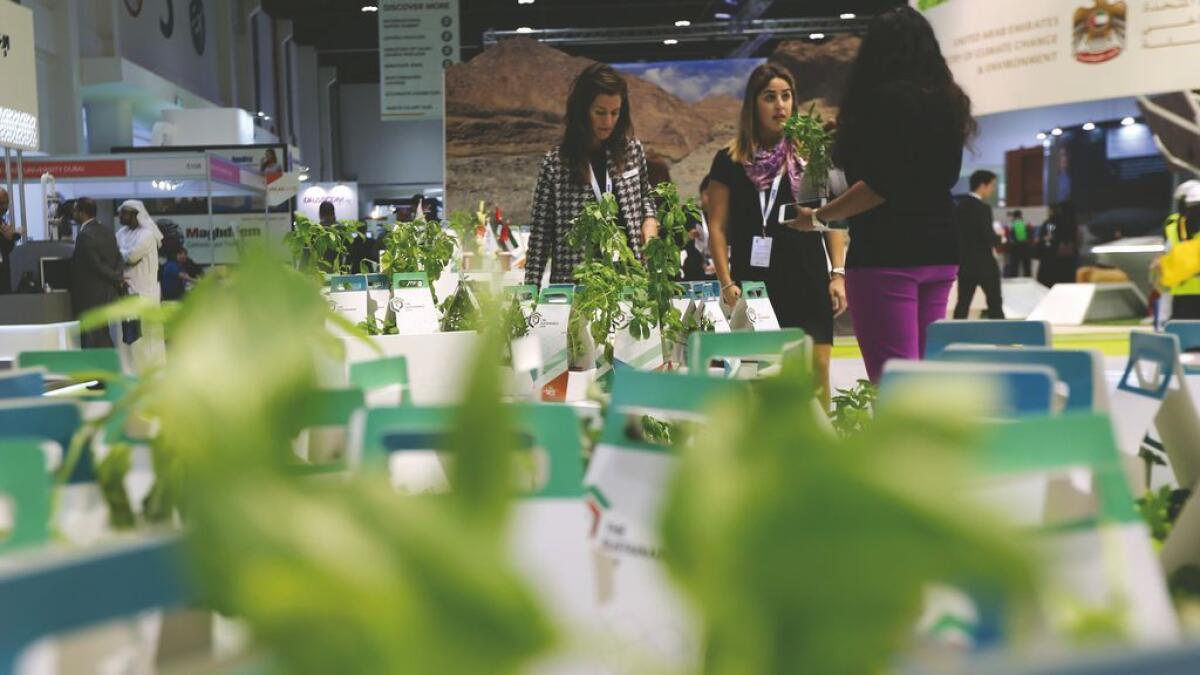 The Sustainability City Pavilion gives free plants to visitors, sending the green message.