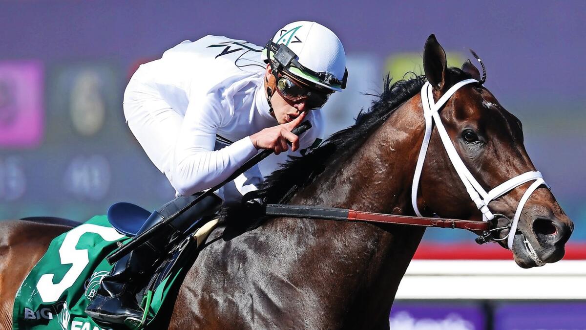 Top notch: Life Is Good is the favourite for the $12 million Dubai World Cup to be held on March 26. — AFP
