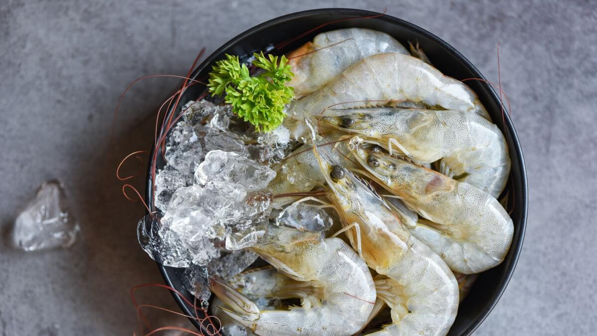 Raw shrimps prawns on ice in bowl, Fresh shrimp seafood with herbs and spice