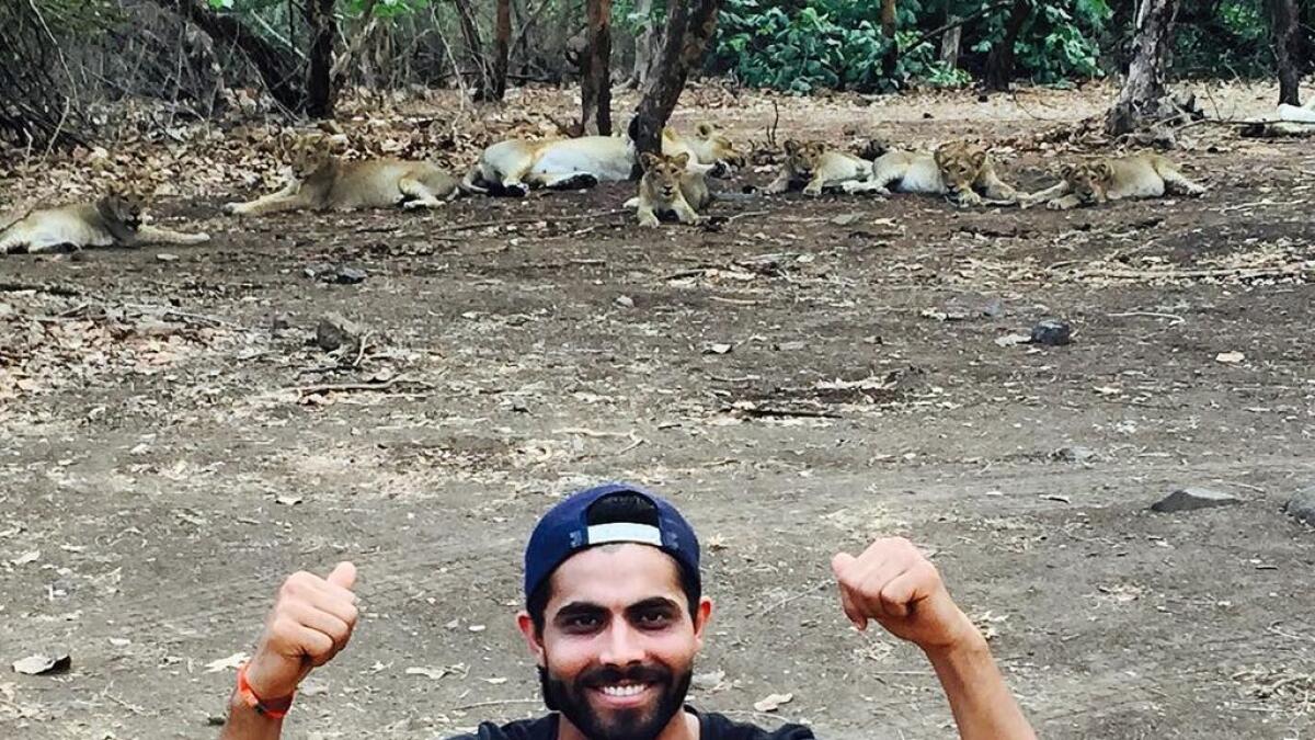 Ravindra Jadejas lion selfie lands him in trouble