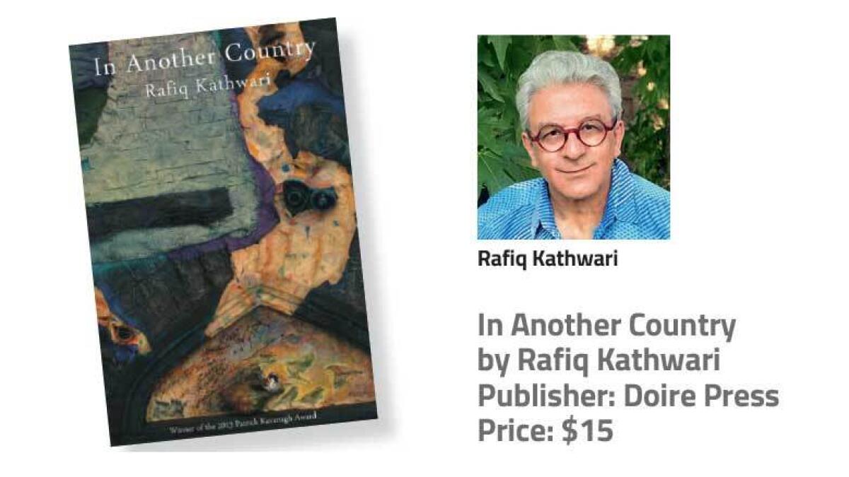 Book Review: In Another Country by Rafiq Kathwari Publisher
