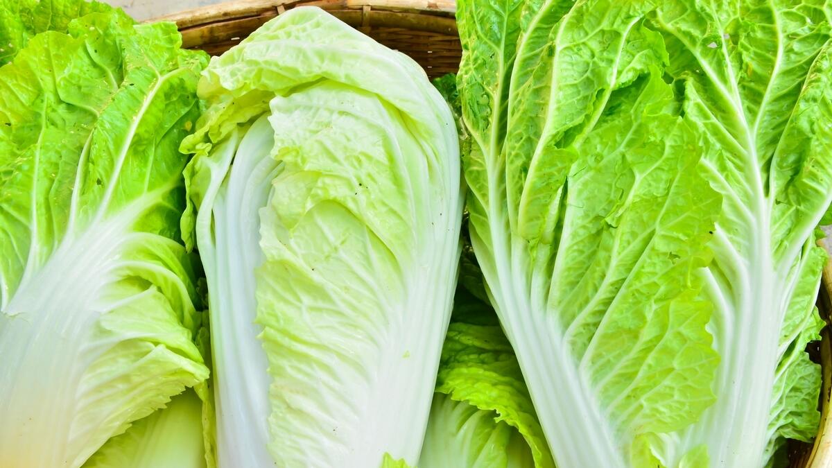 Ministry confirms no contamination of romaine lettuce in UAE