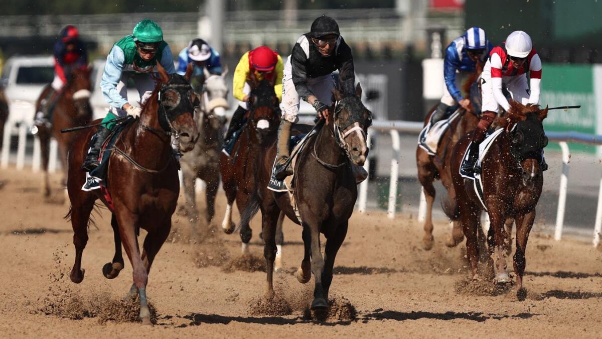 Action from the 2023 running of the G2 Godolphin Mile which was won by Isolate ridden by Tyler Gaffalione for trainer Doug Watson. - Reuters File