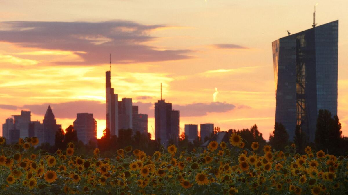 Sunflowers and the skyline of Frankfurt with the headquarters of the European Central Bank (ECB) are seen as the sun sets, in Frankfurt, Germany. — Reuters