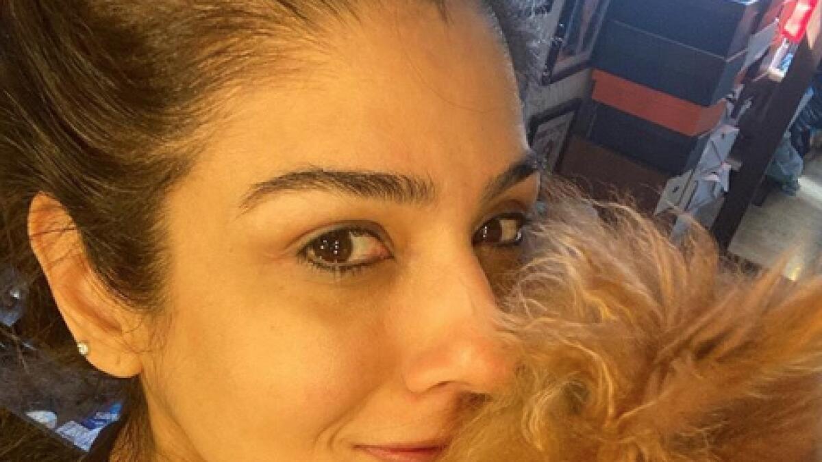 Raveena’s puppy loveGoing with the Insta ID ‘livinitupwithlucifer’ is actress Raveena Raveena Tandon-Thadani’s cute Pomeranian. The actress has made a profile on the photo-sharing website to give everyone an insight to her puppy’s life. Lucifer enjoys a fan following of over 1K fans on the social media website.