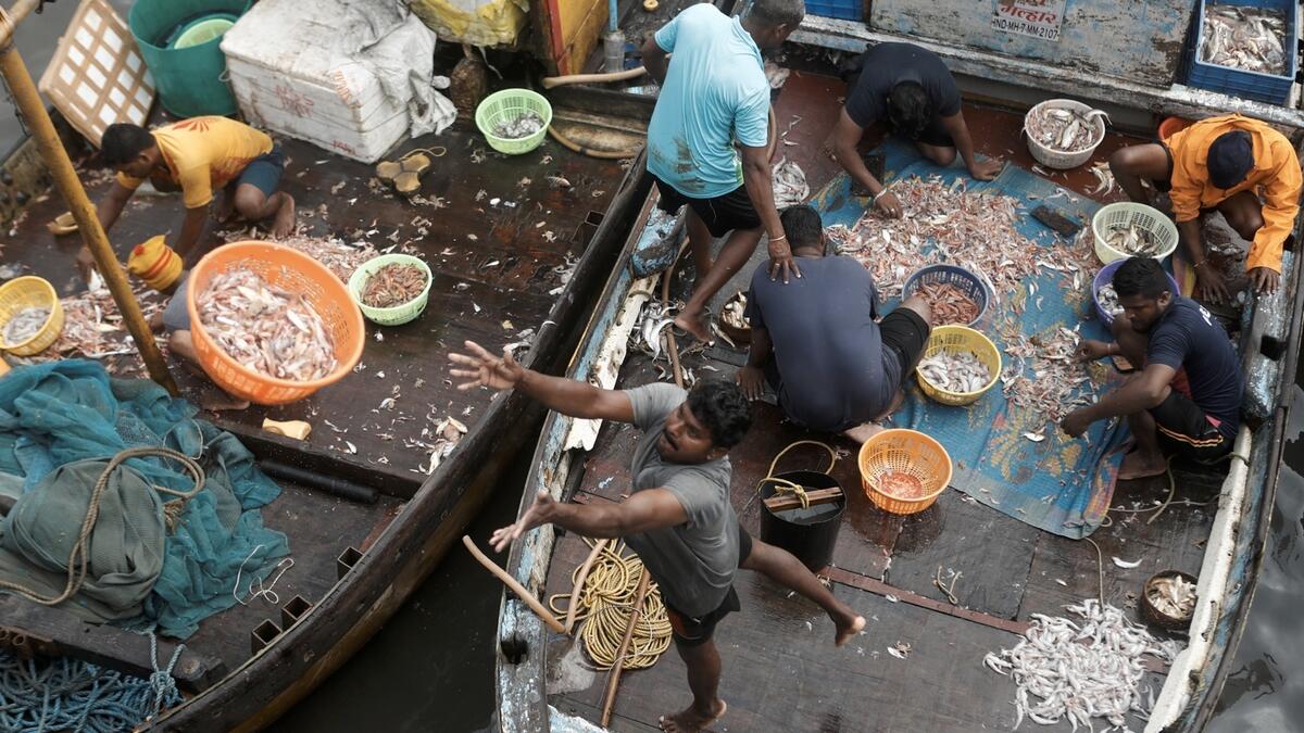 A fisherman throws a basket filled with fish to customers at a fish market amidst the spread of the coronavirus disease (Covid-19) in Mumbai, India. Photo: Reuters