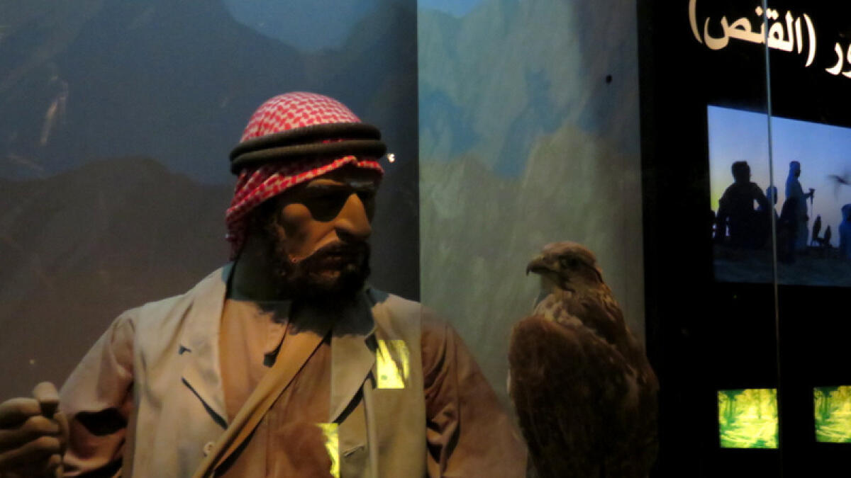 The museum’s falconry exhibit. - Photo by Nivriti Butalia/ Khaleej Times