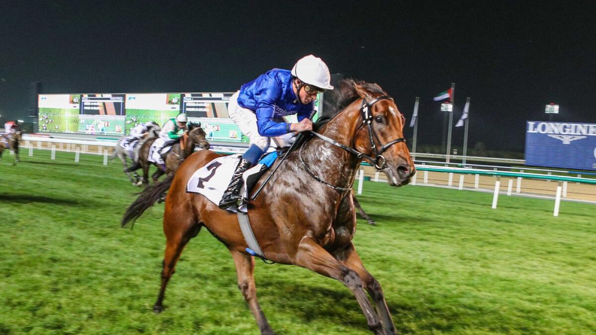 Man Of Promise will race in the G2 Al Quoz Sprint. — Images by Dubai Racing Club and AFP