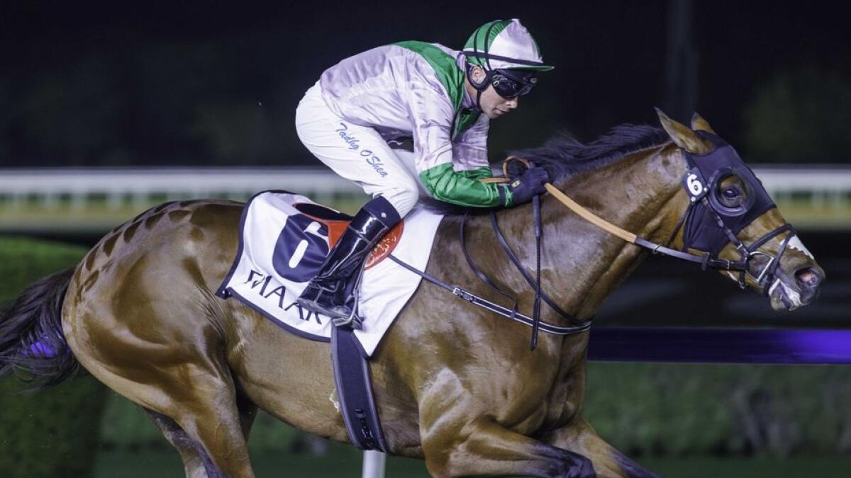 Guns And Glory aced his prep race for the UAE Derby at Meydan with an impressive victory under 11-time UAE champion jockey Tadhg O'Shea. - Photo DRC