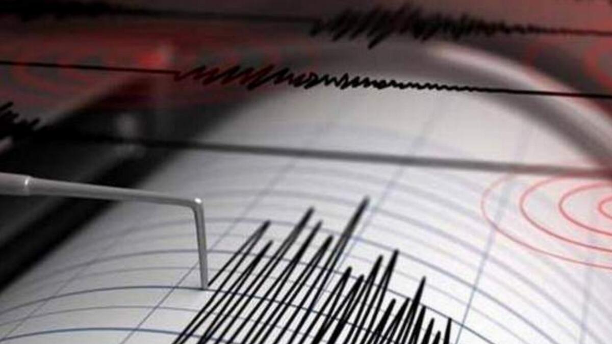 Magnitude 6 earthquake jolts Andaman and Nicobar Islands 