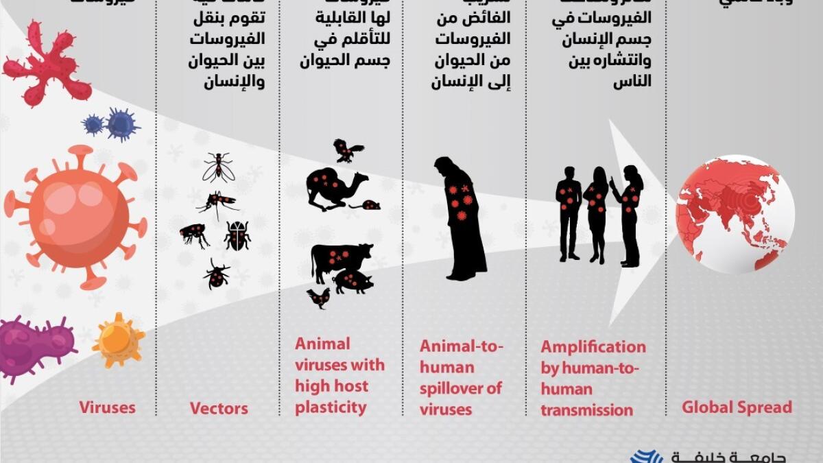 Khalifa University of Science and Technology, Abu Dhabi, leading, team, researchers, investigate, coronavirus, Covid-19, jump, humans, animals