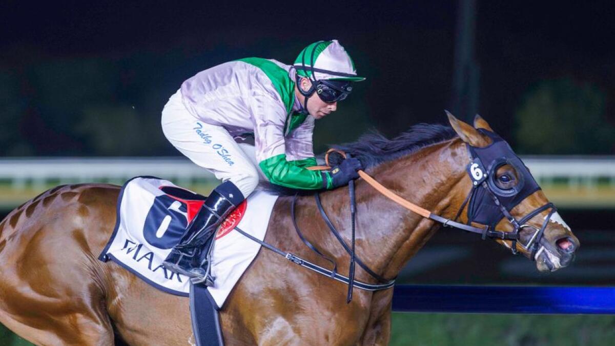 Guns And Glory canters to victory at Meydan and a possible place in the Group 2 UAE Derby on Dubai World Cup night. - Photo by DRC
