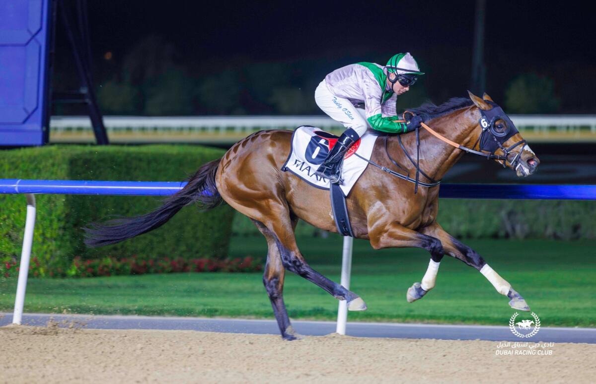 Guns And Glory will compete in the $2 million UAE Derby. — DRC