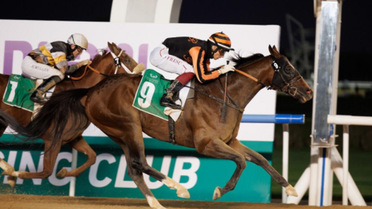 Jockey Antonio Fresu won four races on a sensational night at Meydan. — Dubai Racing Club