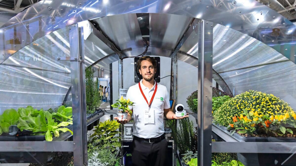 The Food of the Future, the Future of Food: Futuristic hydroponic crops within everyone's reach.
