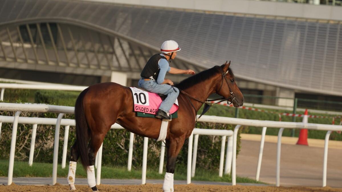 The Bill Mott-trained Gilded Age, which runs in the UAE Derby, was an eye-catcher at the Meydan gallops. — Jacquie Doyle