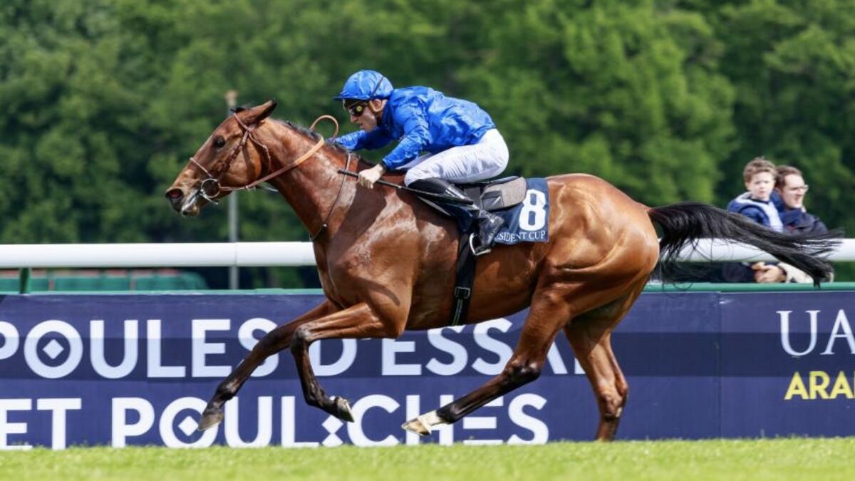 Persian King will be contesting the Group 1 Prix d'Ispahan in Chantilly, France, on Sunday. - Supplied photo