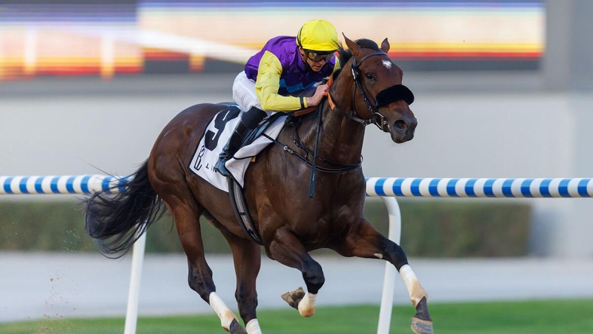 Summer Is Tomorrow finished second to Japan's Crown Pride in the UAE Derby at the Meydan Racecourse on March 26. (Supplied photo)