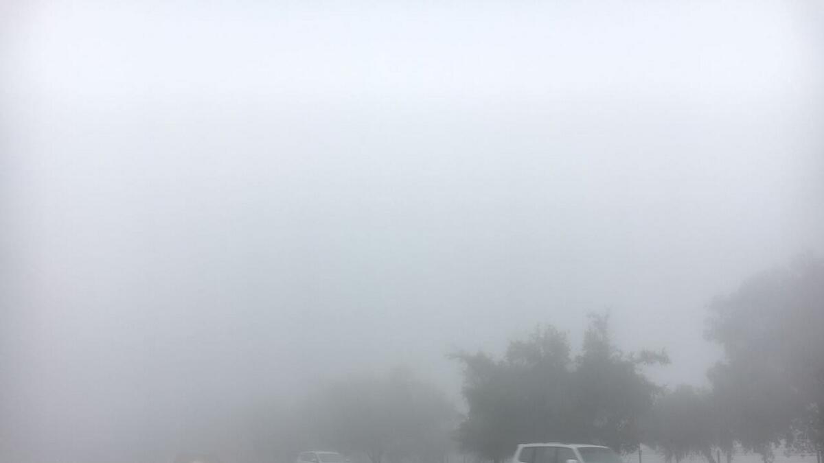 Video: Thick fog blankets UAE, visibility less than 500m 