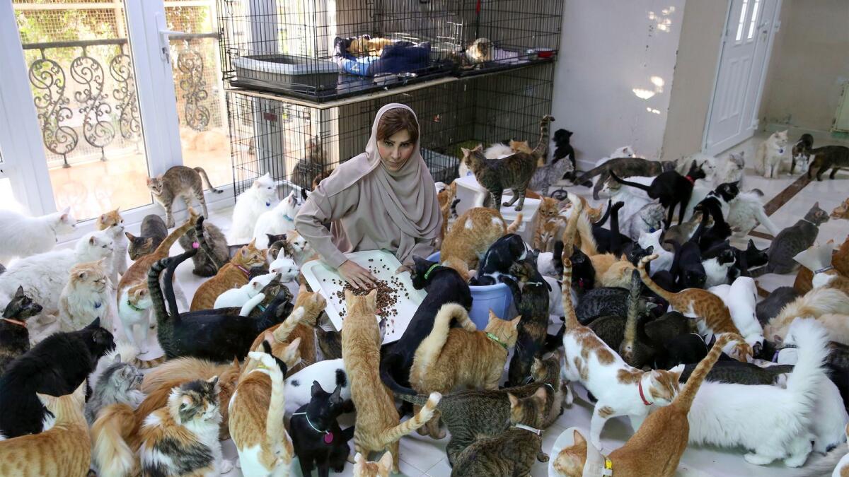 Maryam Al Balushi feeds her pets in her home Oman's capital Muscat on November 20, 2020.