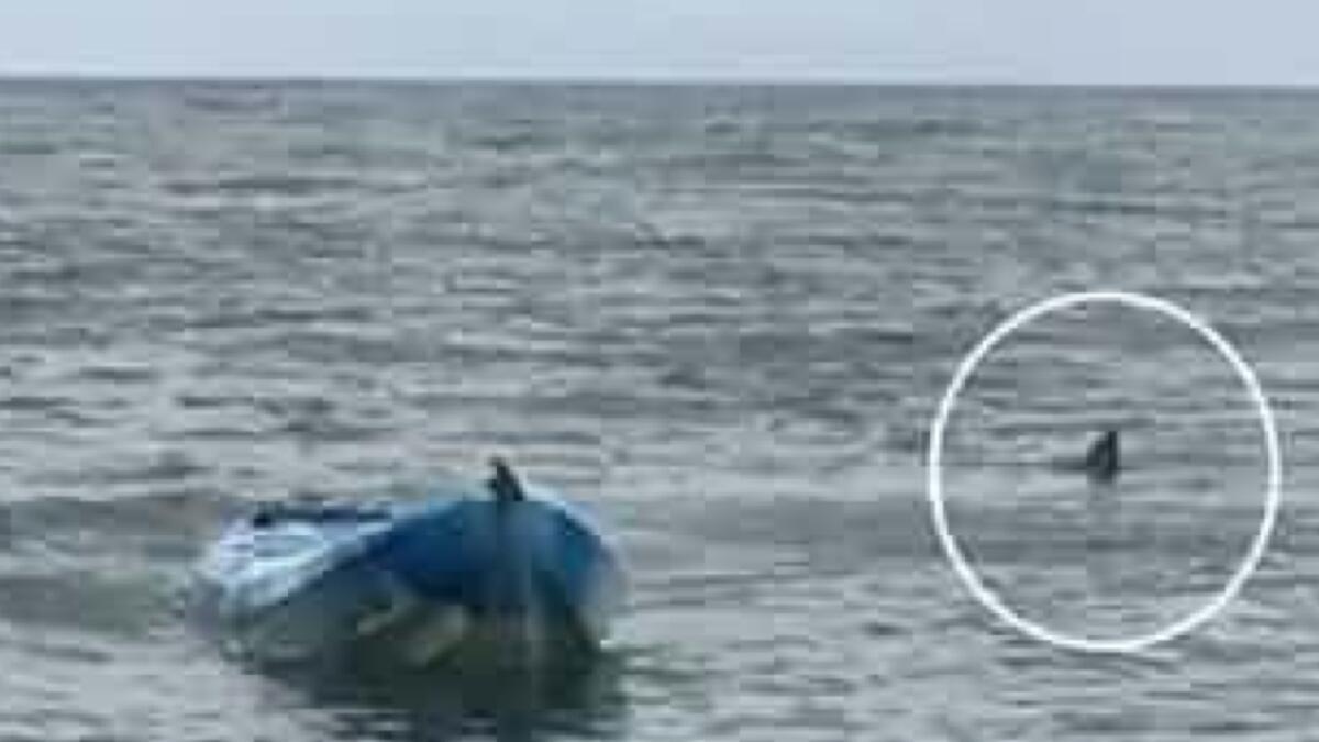 It was going to eat her: Girl survives shark scare 