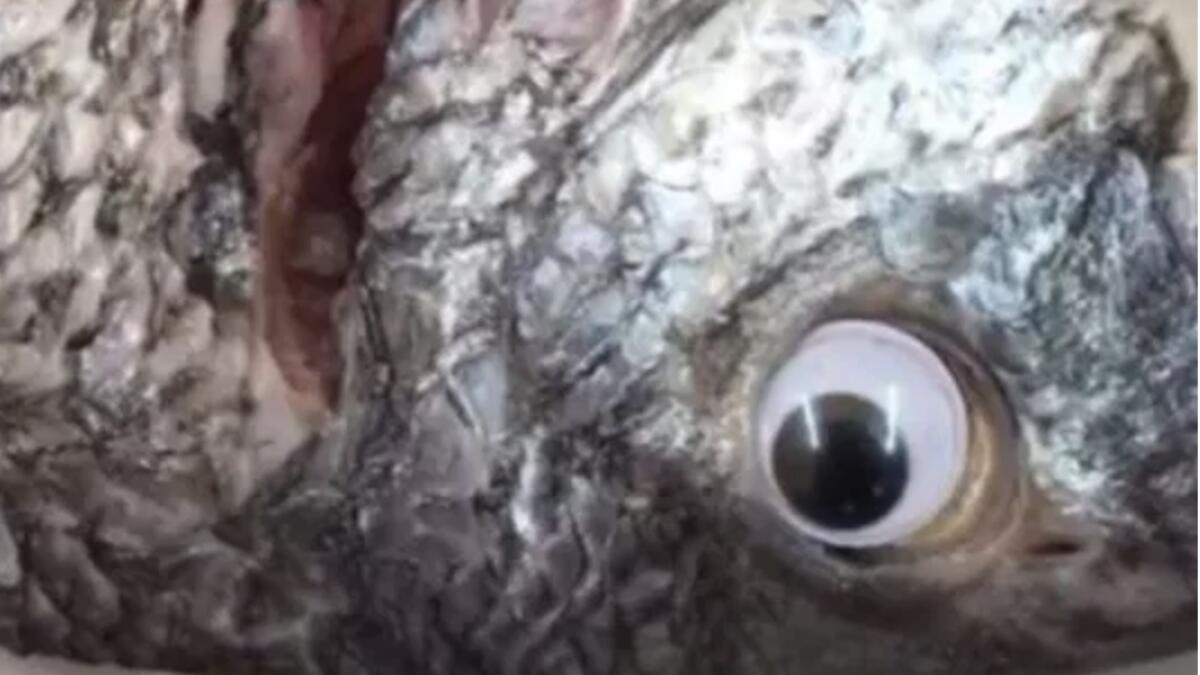 Shopkeeper sticks plastic eyes on fish to make them look fresh